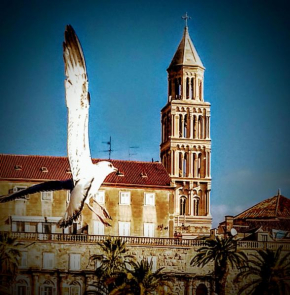 Alnea, Split